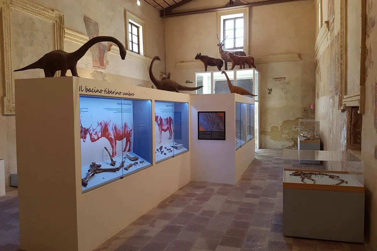 PALEOLAB – Museo delle raccolte paleontologiche dell’Umbria meridionale