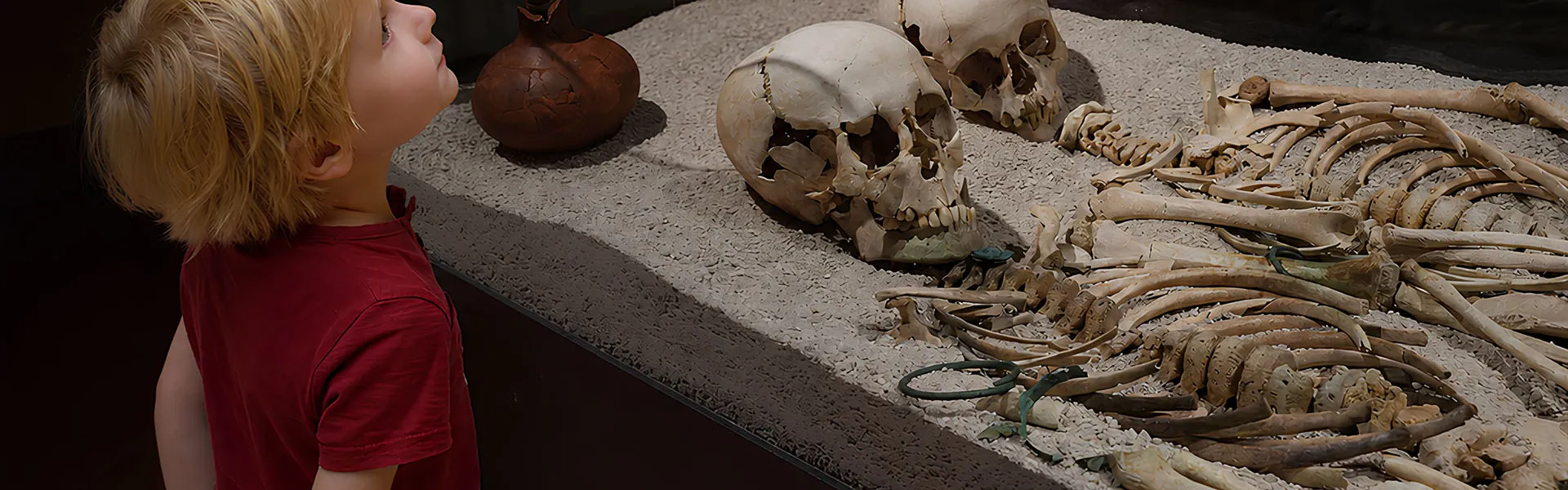 Di.m didattica museale