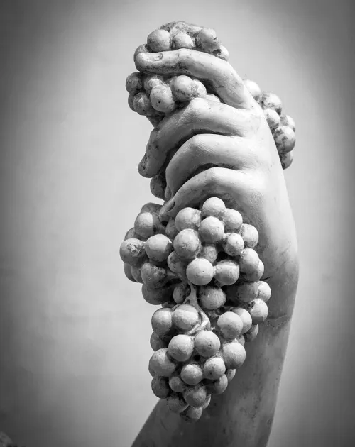 ... il vino e il sale e un sacco di risate