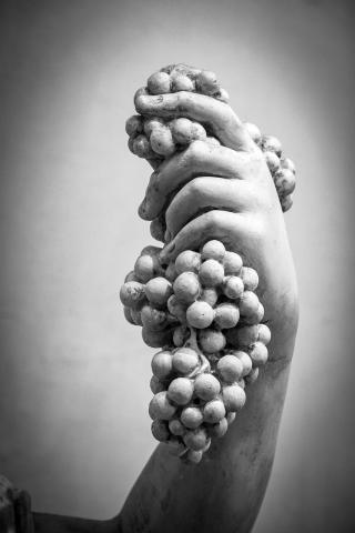 ... il vino e il sale e un sacco di risate